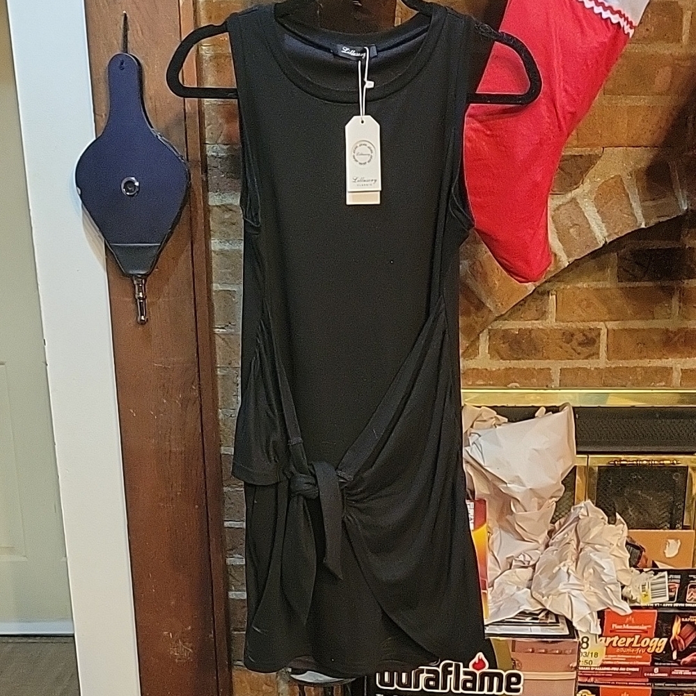 Elegant Black Sleeveless Dress